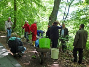 Mühlgrabenreinigung 25.05.2013 Nr3