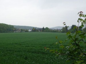 DSC04202Blick von der Bank aus